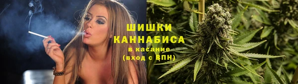 молекула духа Навашино