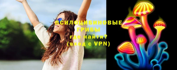 молекула духа Навашино