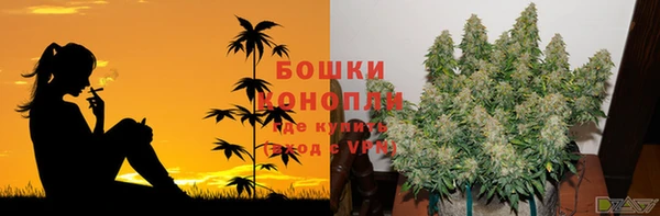молекула духа Навашино