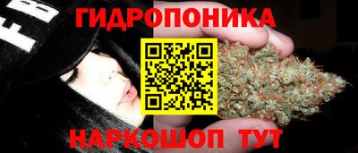 кокс Камышлов