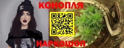 индика Кандалакша