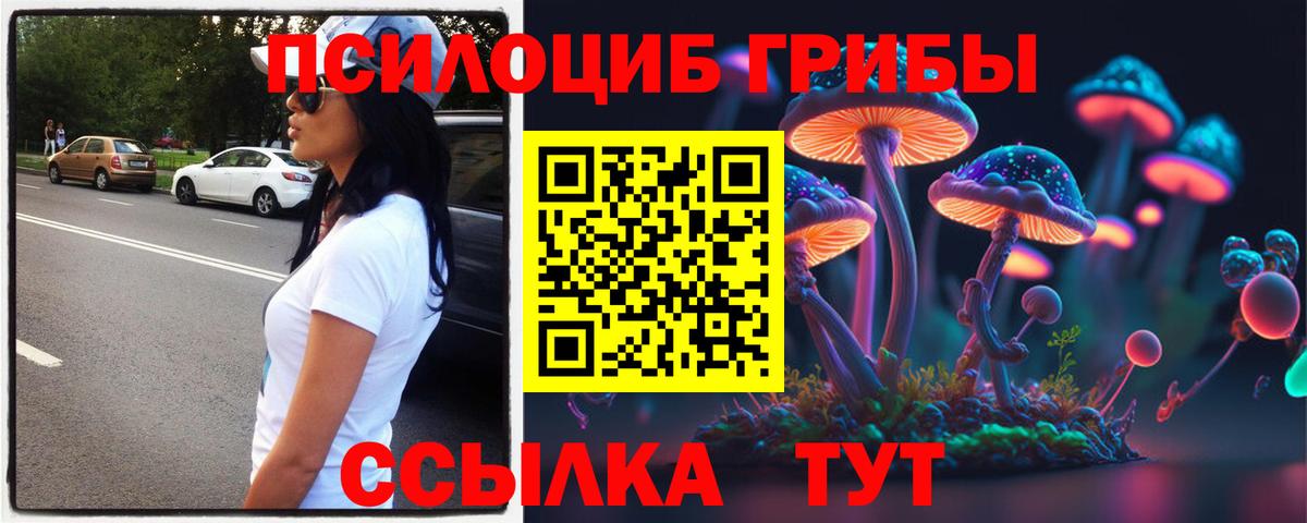 Чебаркуль  Галлюциногенные грибы прущие грибы  Вход с VPN 